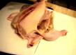 How to Fabricate a Chicken: Tips and Ideas